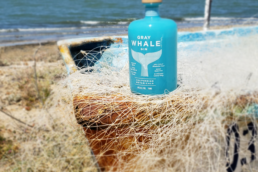 gray whale gin next to the water